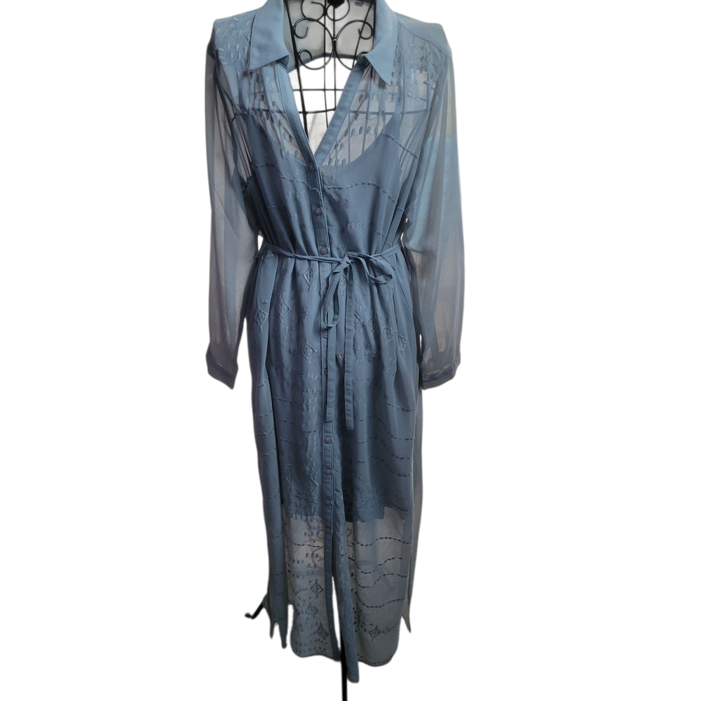 Sheer Blue Long Sleeve Dress